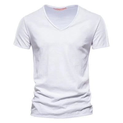 Raimund – Elegant Summer Shirt