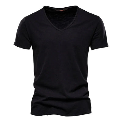 Raimund – Elegant Summer Shirt